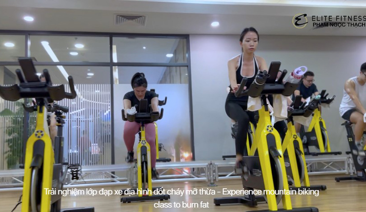 Elite Fitness Phạm Ngọc Thạch thiết kế sang trọng, tiện nghi 1