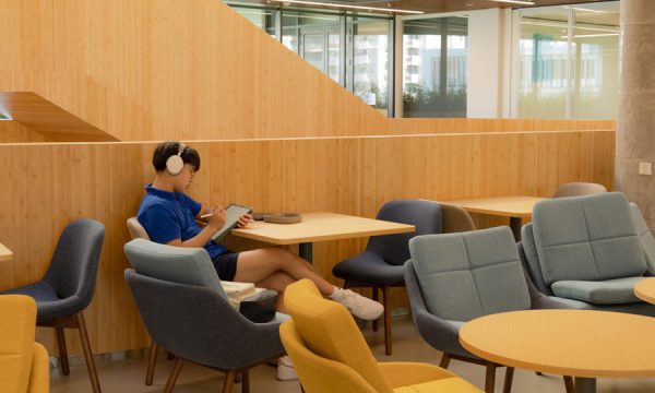 Ali Việt Nam Hoàn Thành Gói Thầu Thi Công Ốp Tường Trường SSIS Giai Đoạn 3 do Boho Decor Thiết Kế