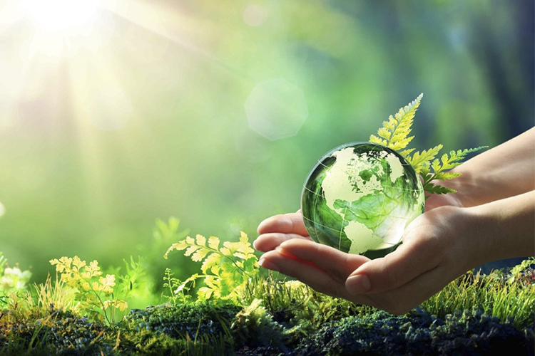 trở lại với thiên nhiên, do đó, không phải là trào lưu lãng mạn mà là phản ứng sinh học cần thiết.