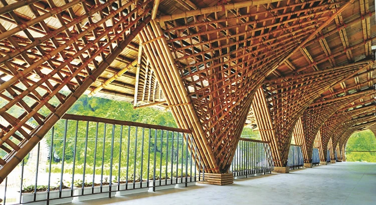 Từ cây tre đến "Thép xanh" biến tính